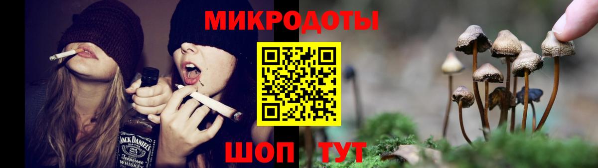Галлюциногенные грибы прущие грибы Комсомольск-на-Амуре